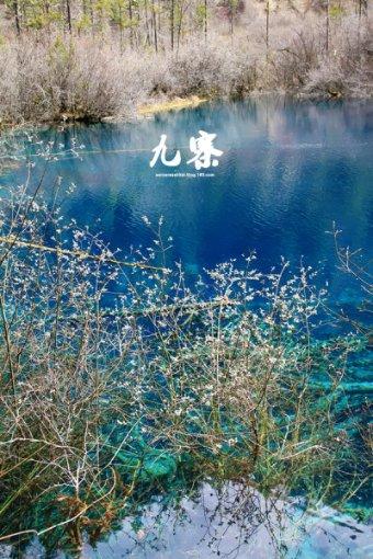 影之诗